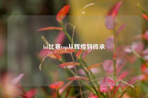 lol比赛top从辉煌到传承