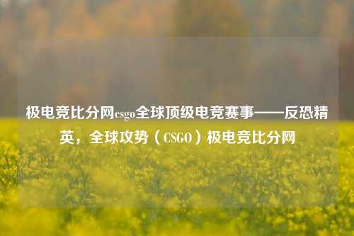 极电竞比分网csgo全球顶级电竞赛事——反恐精英，全球攻势（CSGO）极电竞比分网