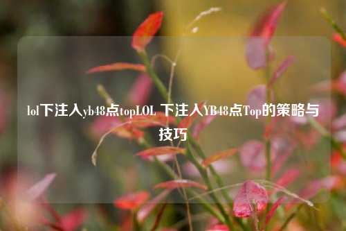 lol下注入yb48点topLOL 下注入YB48点Top的策略与技巧