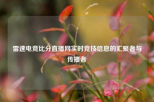 雷速电竞比分直播网实时竞技信息的汇聚者与传播者